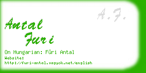 antal furi business card
