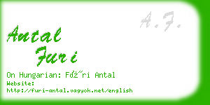 antal furi business card